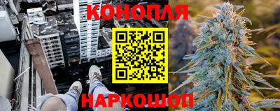 прущие грибы Пыть-Ях