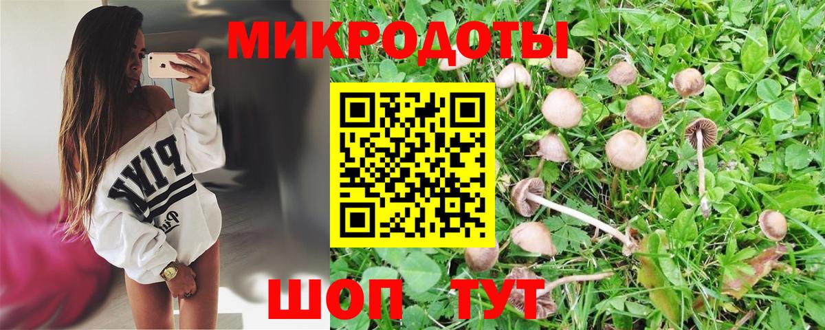 Галлюциногенные грибы мухоморы Тимашёвск