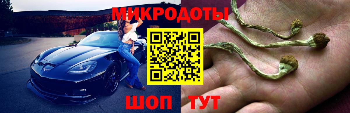 Псилоцибиновые грибы Magic Shrooms  Вход с VPN  Тимашёвск 